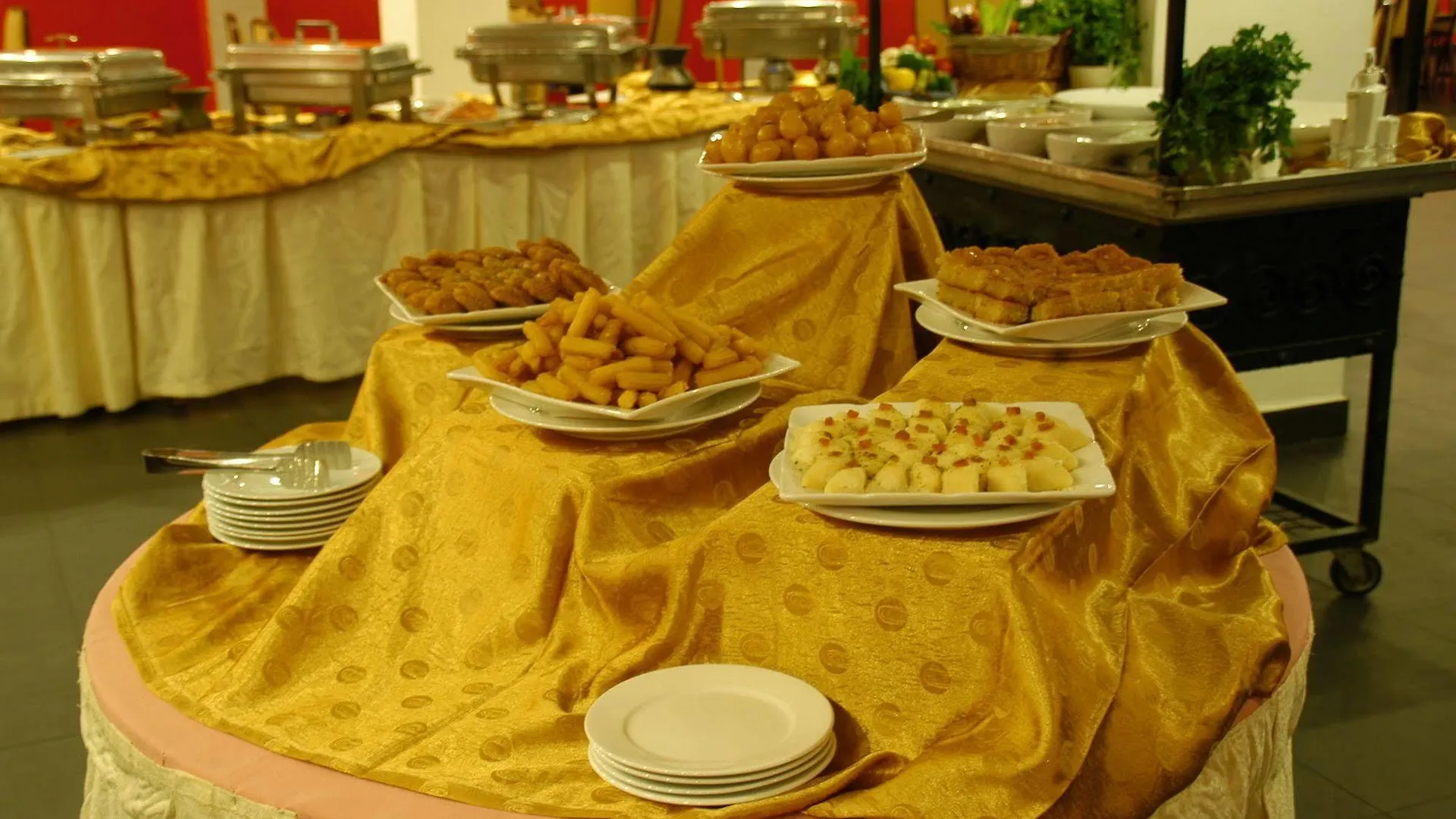 فندق مينا العقبة
